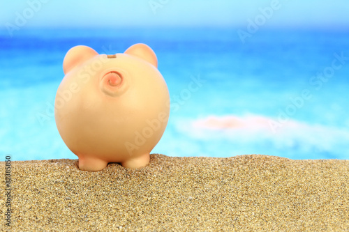 Piggy bank on the beach looking to the sea © viperagp