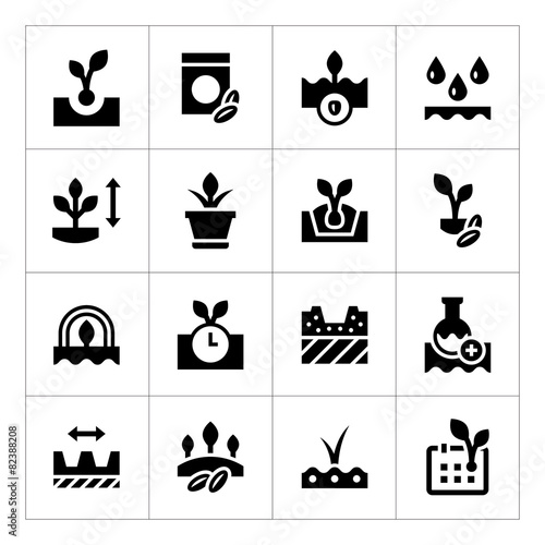 Set icons of seed and seedling