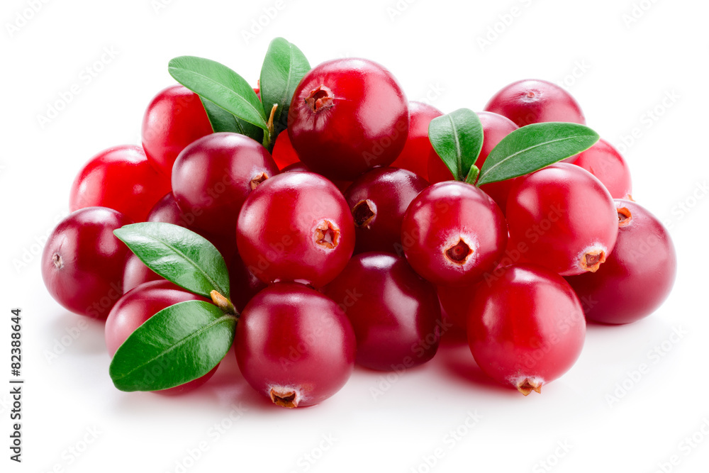 Cranberry with leaves isolated on white. - obrazy, fototapety, plakaty 