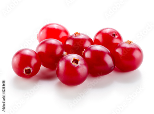 Cranberry isolated on white background.