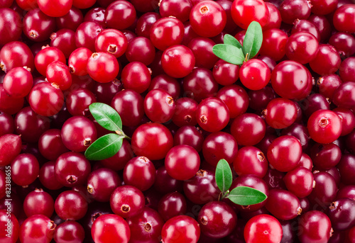 Photos Cranberry macro. Background.
