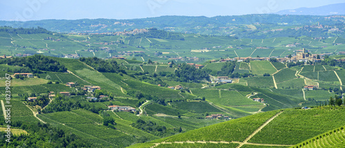 Summer landscape in Langhe (Italy)