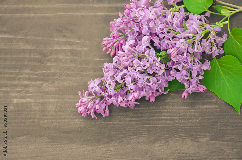 Colorful lilac  flowers on wooden background