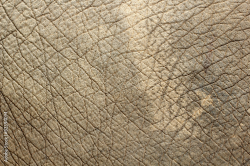 Elephant skin texture background