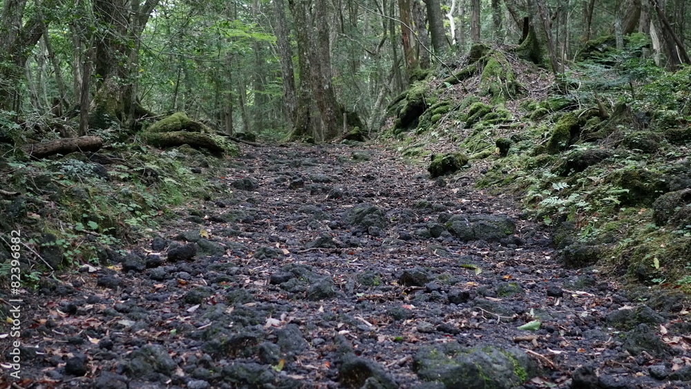 Variation of hidden nature over volcanic rocks in Mt.Fuji. Variation of hidden nature over volcanic rocks in Mt.Fuji.