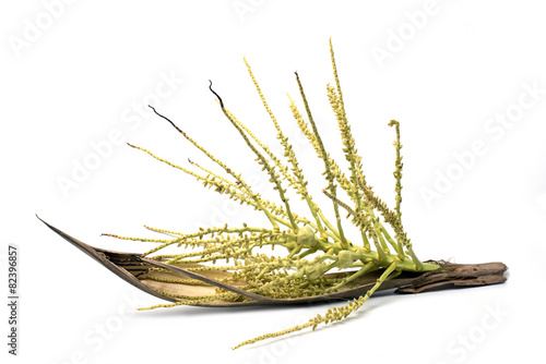 Fototapeta Naklejka Na Ścianę i Meble -  Flower of coconut tree isolated