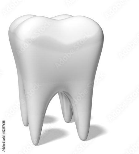 Human Teeth. 3D. Tooth