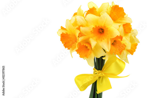 Fototapeta Naklejka Na Ścianę i Meble -  Bouquet of daffodils with a yellow ribbon isolated