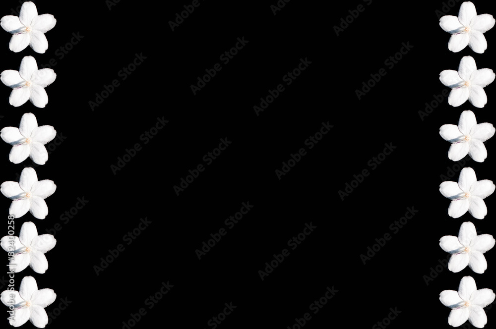 Fototapeta premium kwiat na czarnym tle