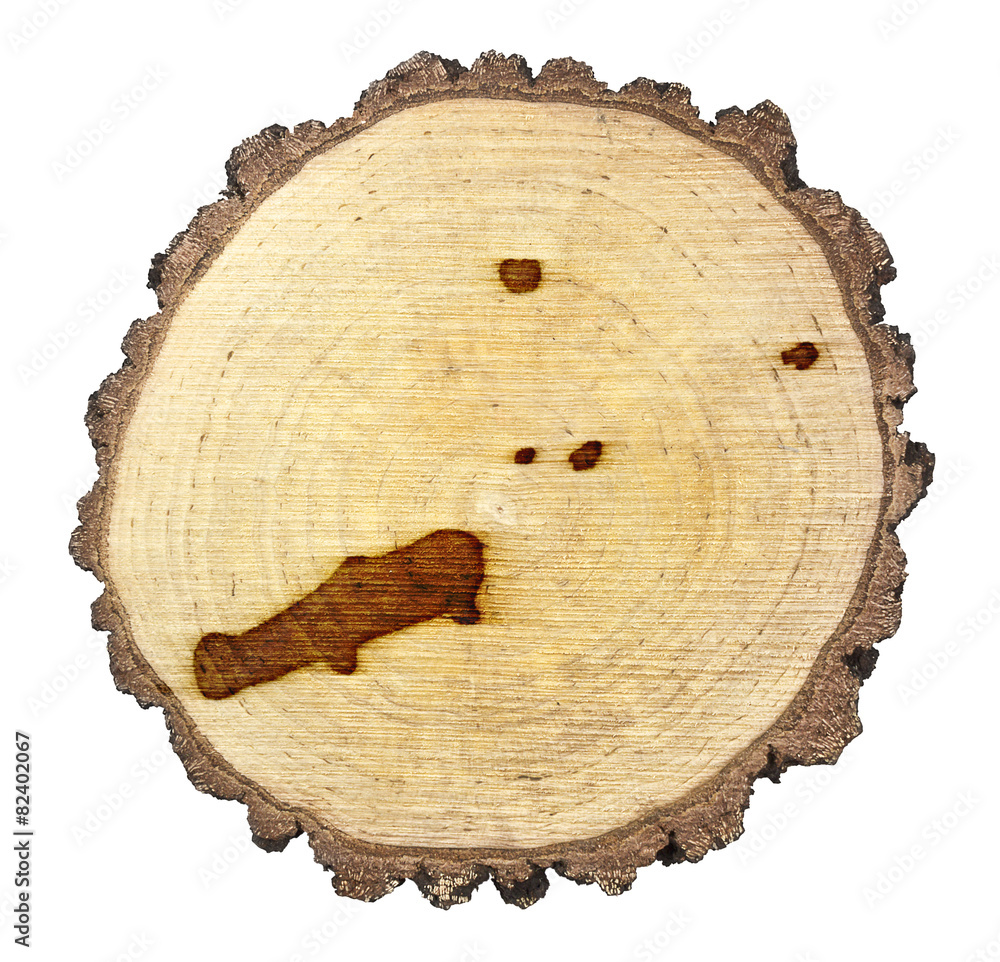 Slice of wood (shape of Johnston Atoll branded onto) .(series) Slice of wood (shape of Johnston Atoll branded onto) .(series)