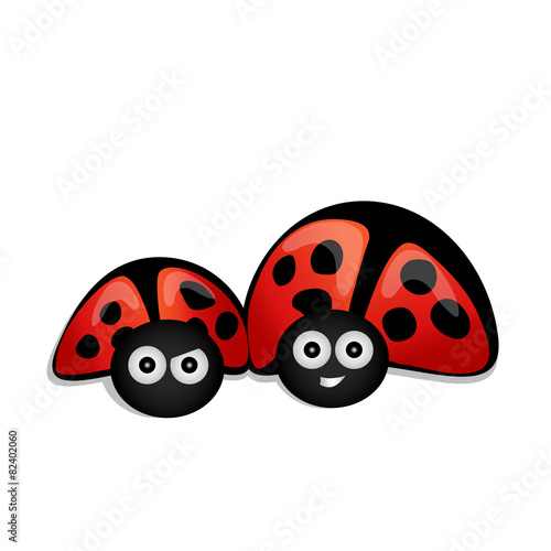 Ladybird fabulously isolated on white