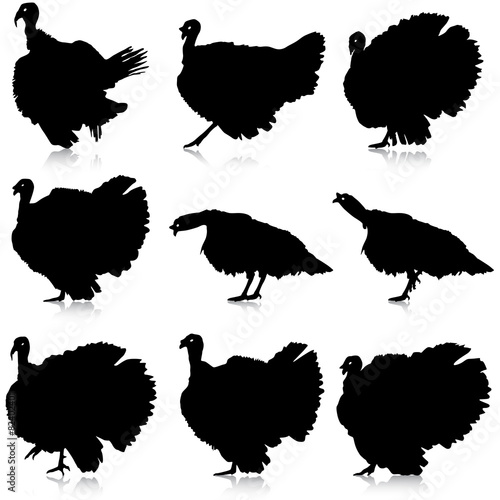 Silhouettes of turkeys. Vector illustration.