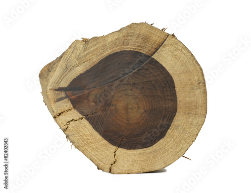 Canvas Print rosewood log