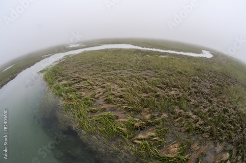 Channel in Wetlands