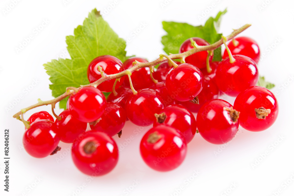 Red currant Red currant