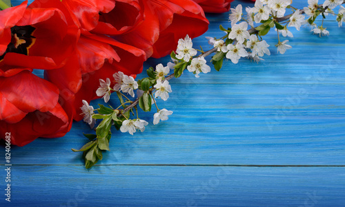 Fototapeta Naklejka Na Ścianę i Meble -  .red tulips