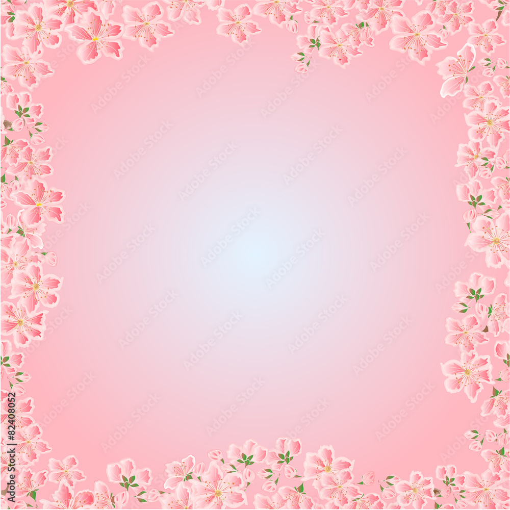 Seamless texture cherry blossoms frame vector