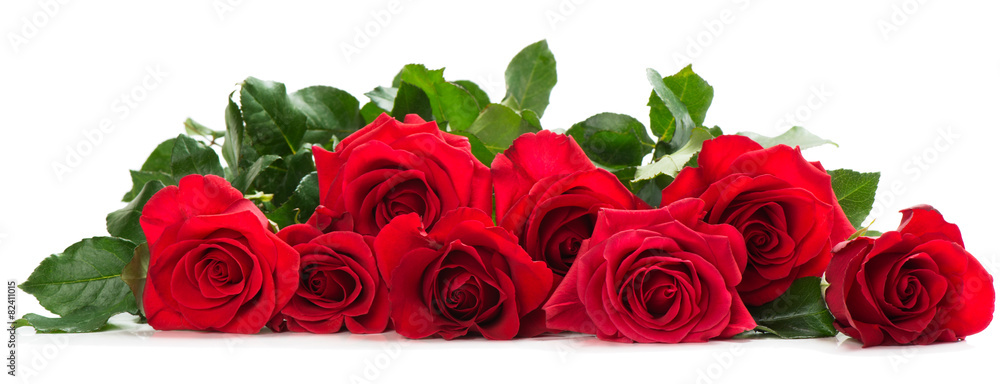 Naklejka premium Kilka czerwonych róż