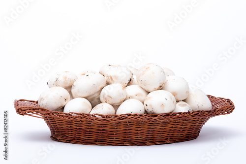 cesta con funghi su sfondo bianco