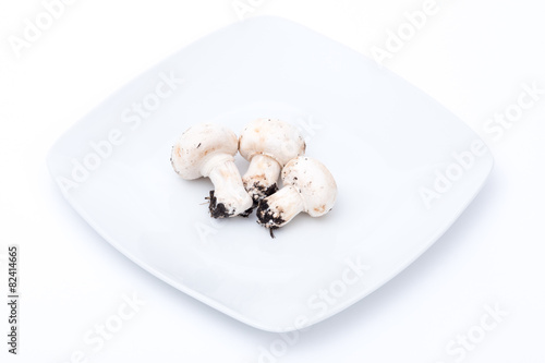 funghi bianchi su piatto bianco