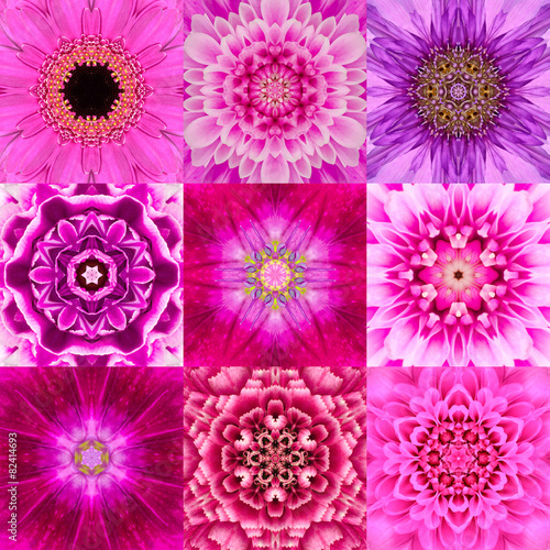 Collection of Nine Purple Concentric Flower Mandala Kaleidoscope