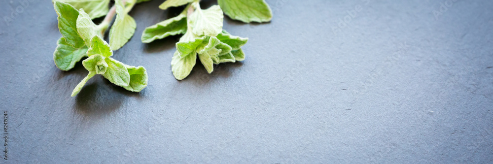 Fresh oregano on a dark stone background Fresh oregano on a dark stone background