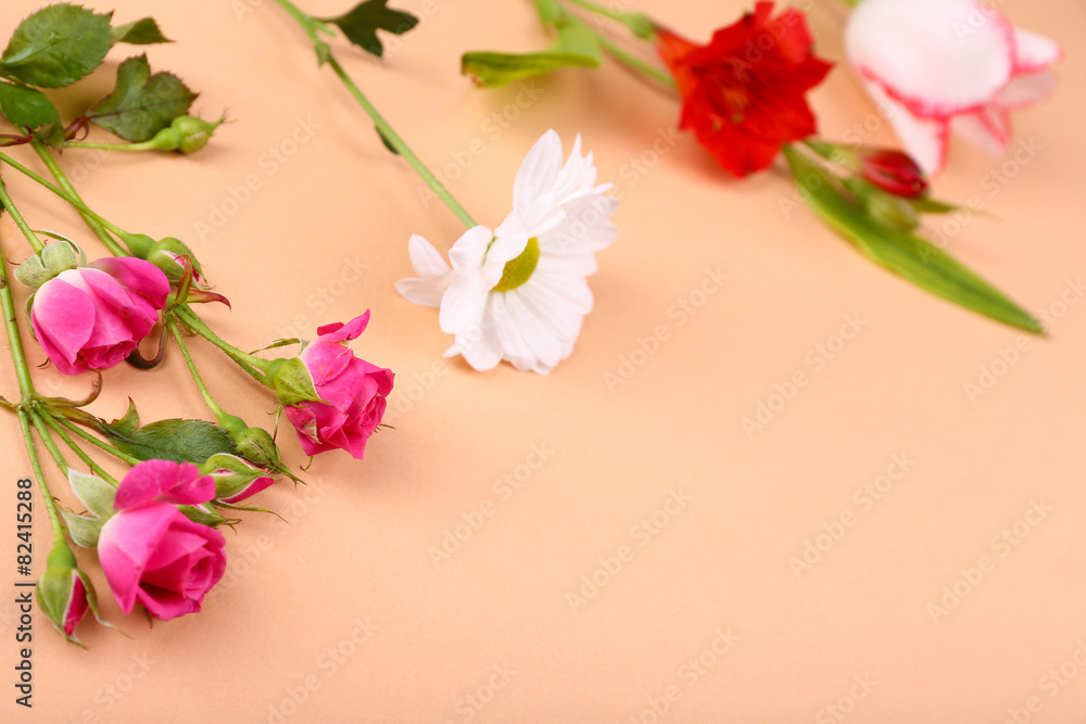 Different flowers on colour background