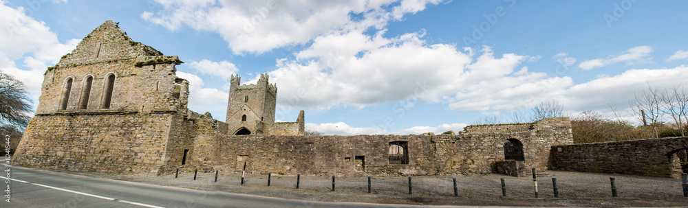 Jerpoint Abbey County Kilkenny Ireland