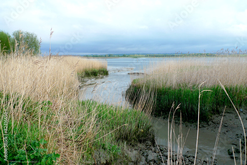 Estuaire de la Seine photo