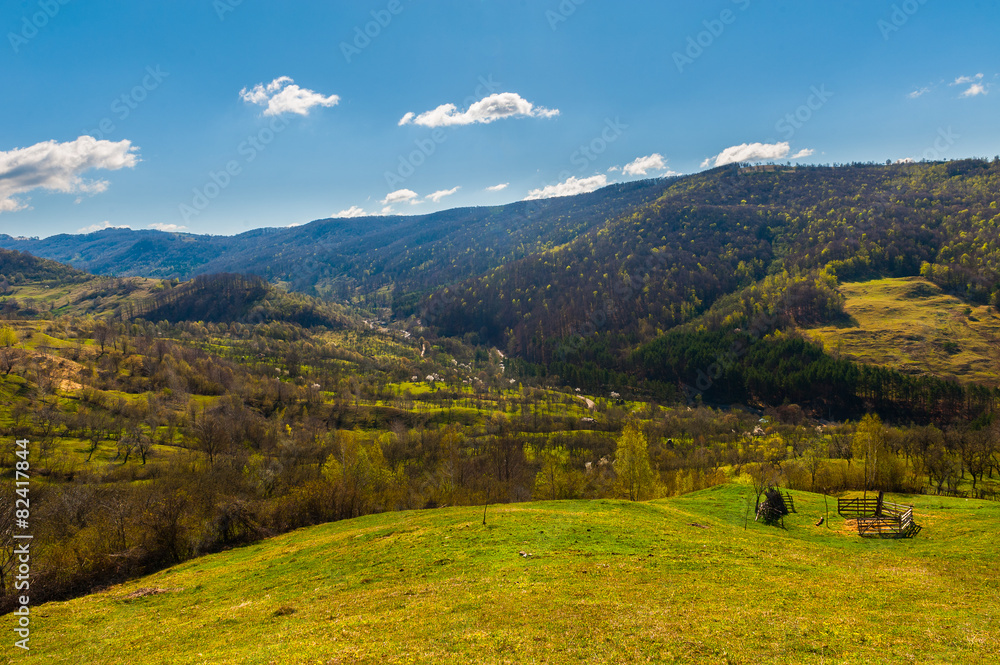 Romanian grassland landscape