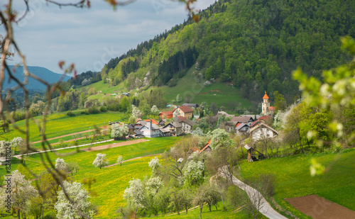 Tuhinj valley near Kamnik, Slovenia photo