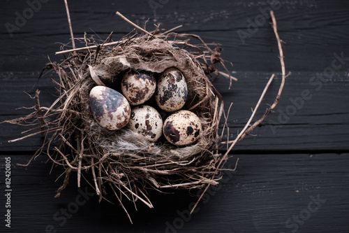 Quail eggs in a nest on wooden board.