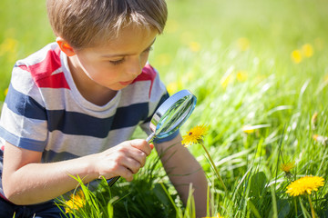 Child exploring nature