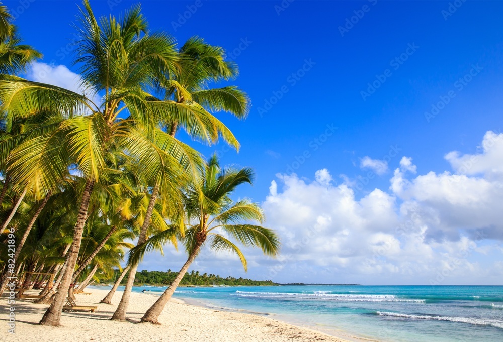 Obraz premium Caribbean beach in Dominican Republic