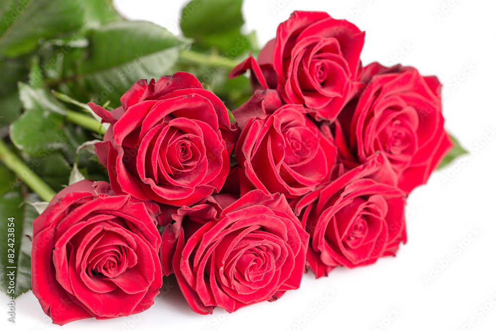Red rose Red rose