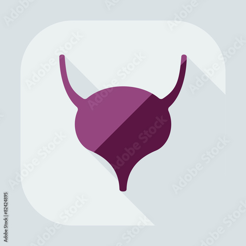 Flat modern design with shadow icons Bladder