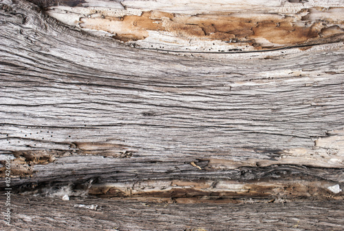 Old Wood Tree Texture Background Pattern closeup