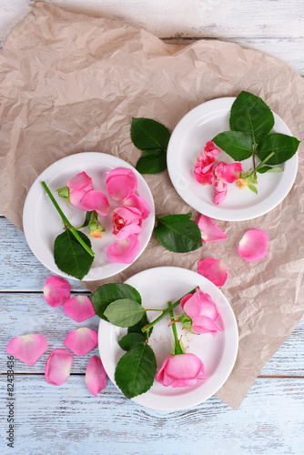 Beautiful pink roses in white plates on wooden table with parchment, top view