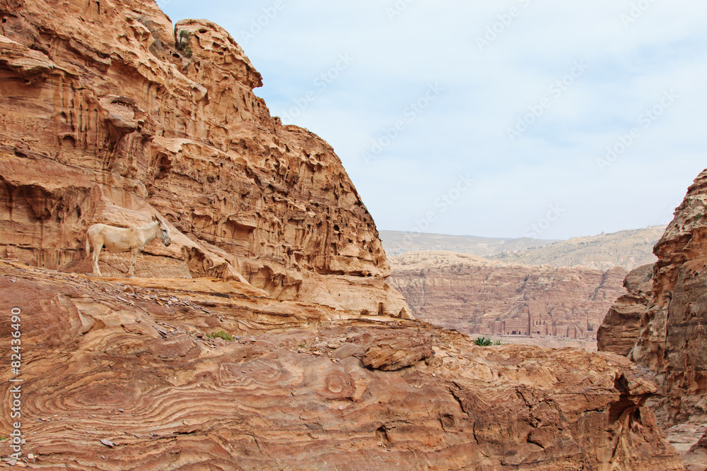 Mountains of Petra, Jordan