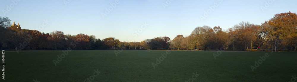 Panoramic of the large field, Central Park