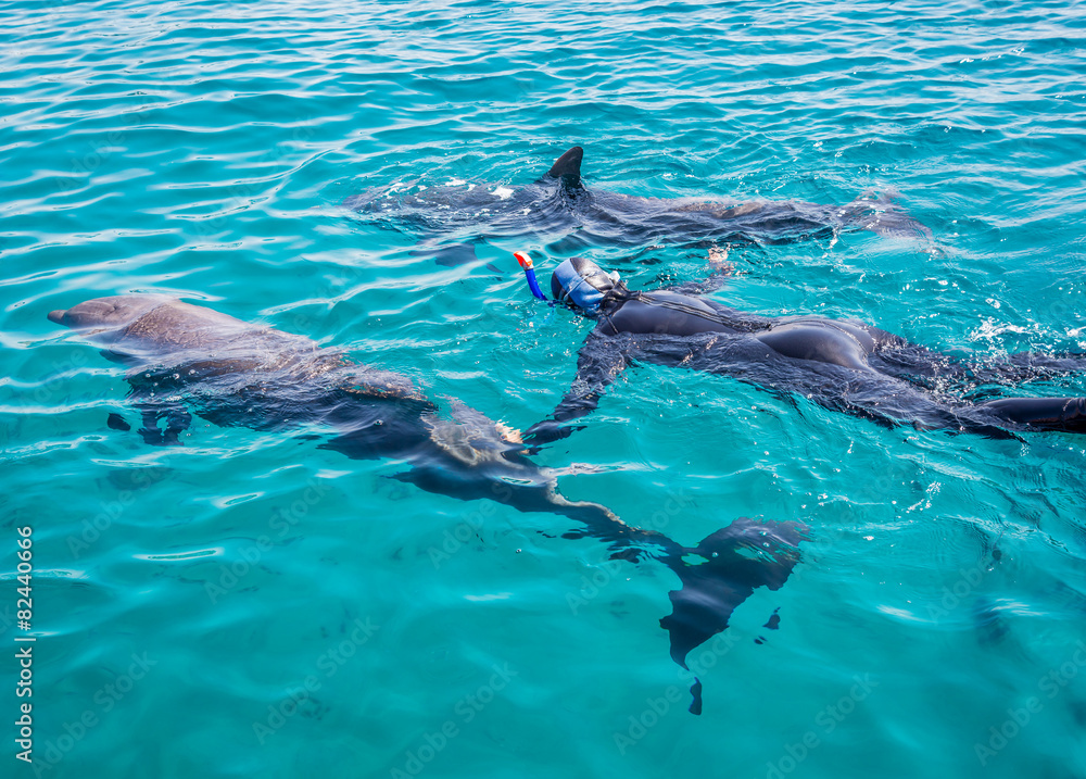 Obraz premium Snorkeilng with doplhins