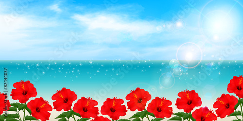 ハイビスカス　海　背景