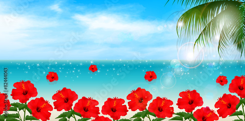 ハイビスカス　海　背景