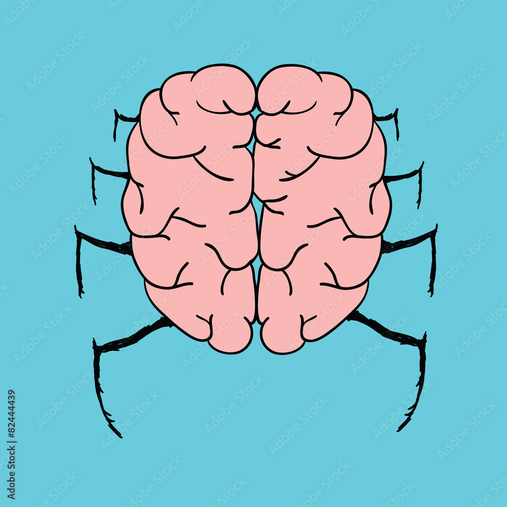 Spider brain Spider brain