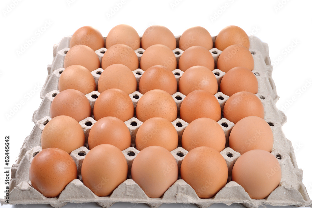 Group of fresh eggs in paper tray Group of fresh eggs in paper tray