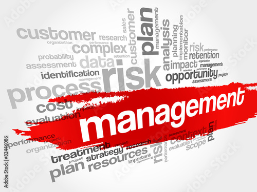 MANAGEMENT word cloud, business concept