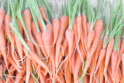 Fresh baby carrots bunch on sell