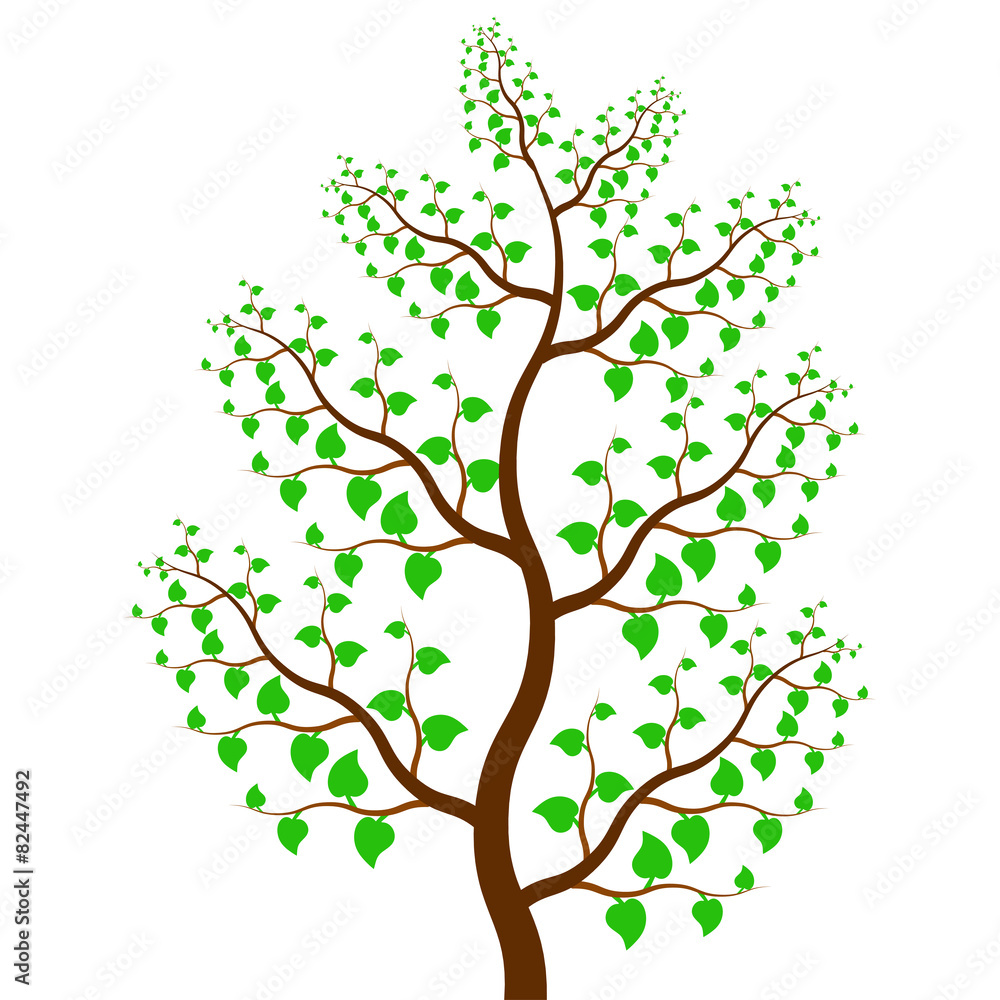 vector of tree