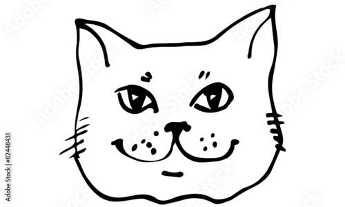 vector sketch beautiful cat muzzle