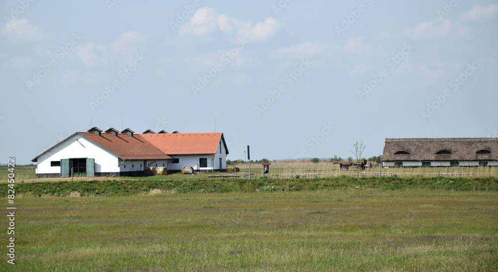 Farm buildings